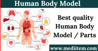 Best quality Human Body Model