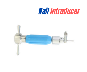 The Most Popular Nail Introducer-