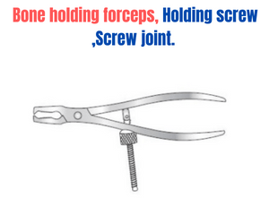 holding screw Bone holding forceps