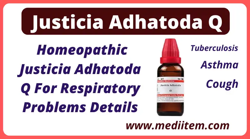 Homeopathic Justicia adhatoda q for respiratory problems details