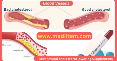 best natural cholesterol lowering supplements