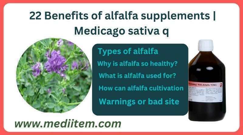 benefits of alfalfa supplements