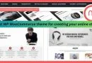 Best WP WooCommerce theme for creating your online store