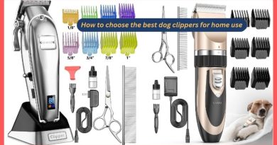 How to choose the best dog clippers for home use