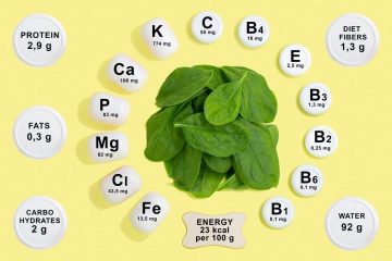 মানবদেহে গুরুত্বপূর্ণ সুষম খাদ্য, ভিটামিন ও খনিজ