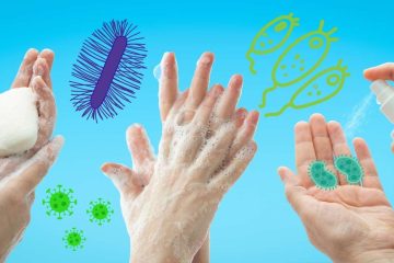 হাইজিন ব্যাকটেরিয়া, ভাইরাস এবং ছত্রাকের